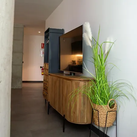 Apartament Calatrava By Alma *